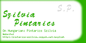 szilvia pintarics business card